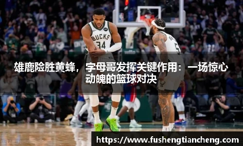 雄鹿险胜黄蜂，字母哥发挥关键作用：一场惊心动魄的篮球对决