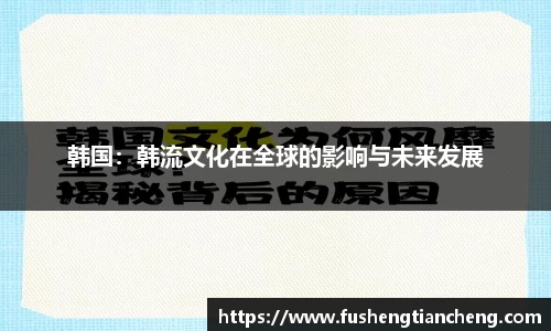 韩国：韩流文化在全球的影响与未来发展
