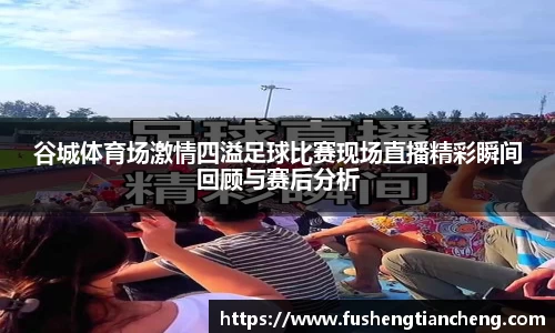 谷城体育场激情四溢足球比赛现场直播精彩瞬间回顾与赛后分析