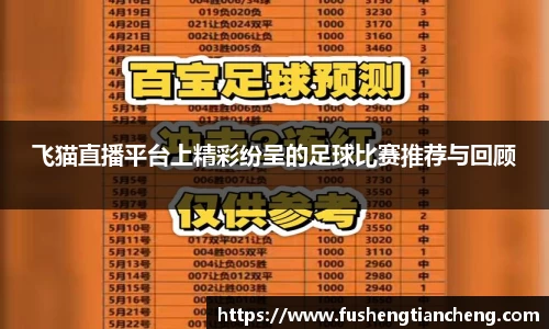 飞猫直播平台上精彩纷呈的足球比赛推荐与回顾