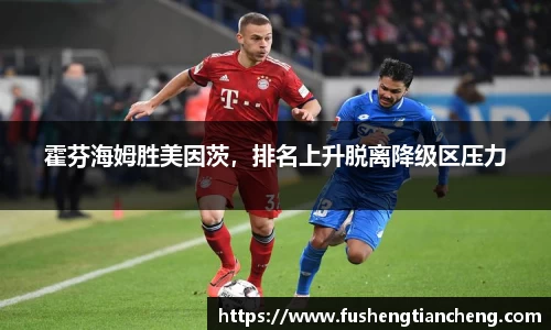 霍芬海姆胜美因茨，排名上升脱离降级区压力